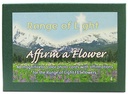Range of Light Kit and Affirm a Flower cards