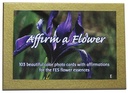 Professional Kit with Affirm a Flower Cards