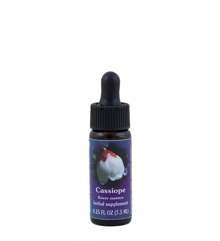 Cassiope