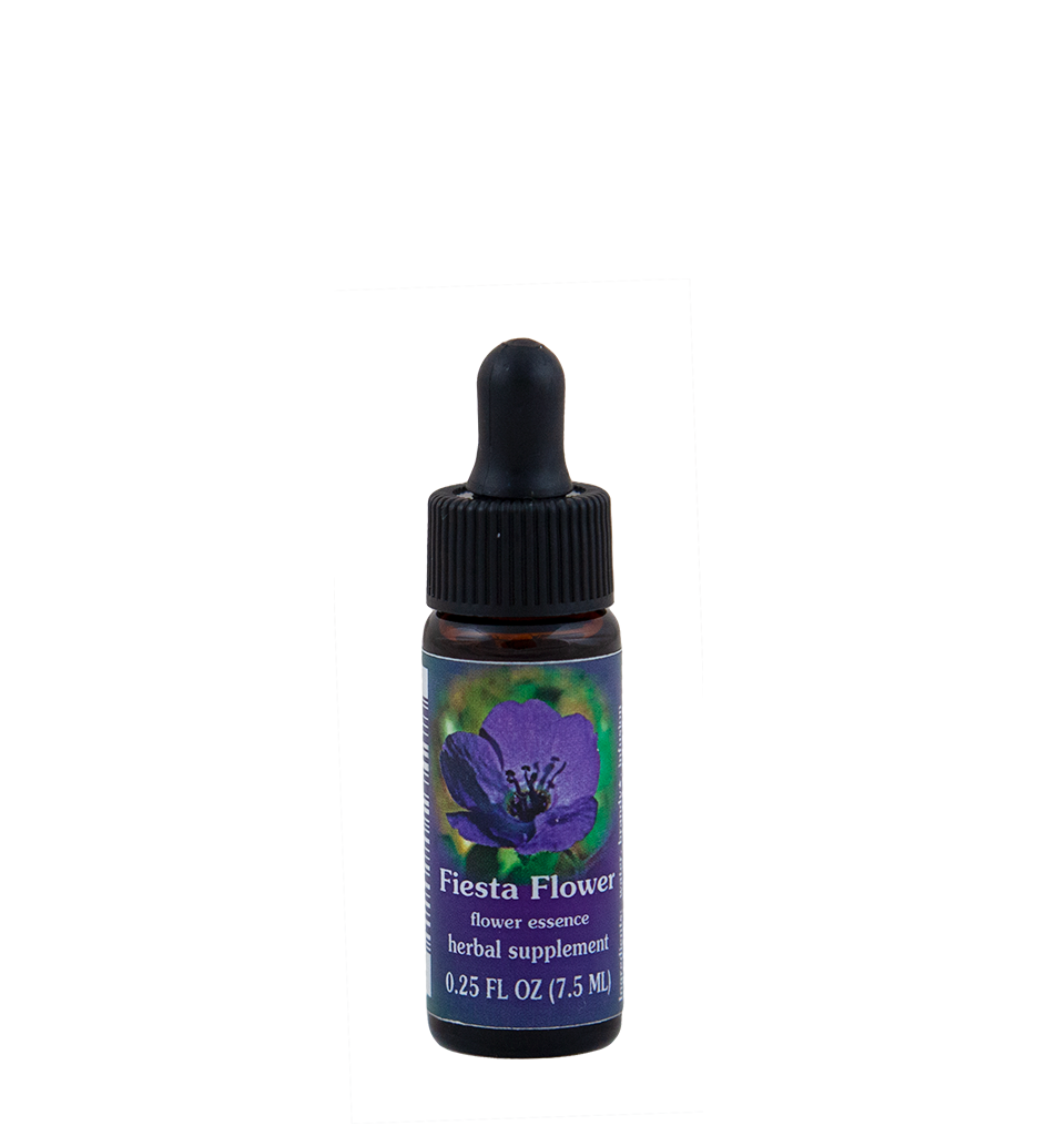 Fiesta Flower