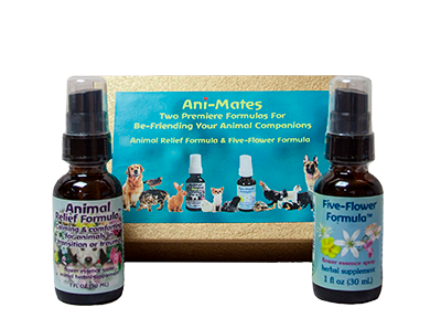 Ani-Mates Gift Set