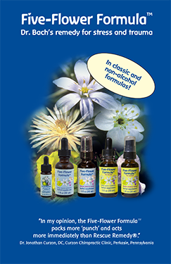 Five Flower Formula brochure