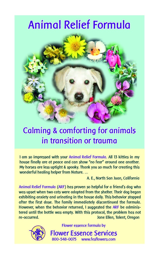 Animal Relief Formula Brochure