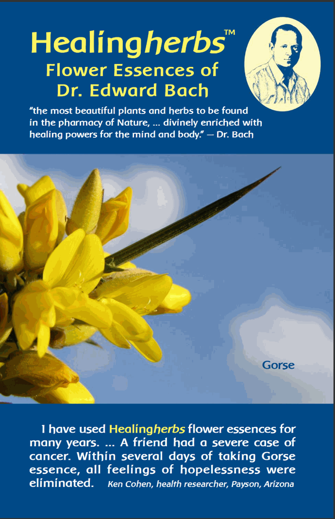 Healing Herbs brochure