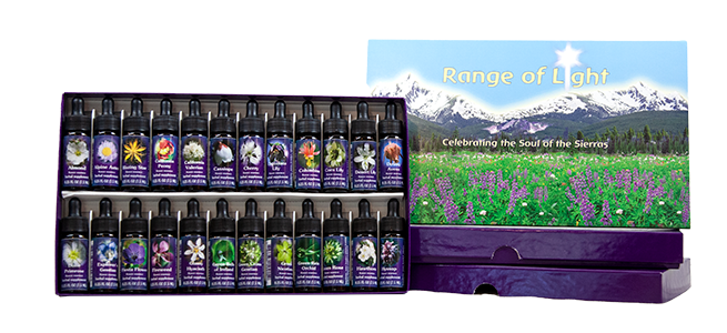 Range of Light Kit and Affirm a Flower cards