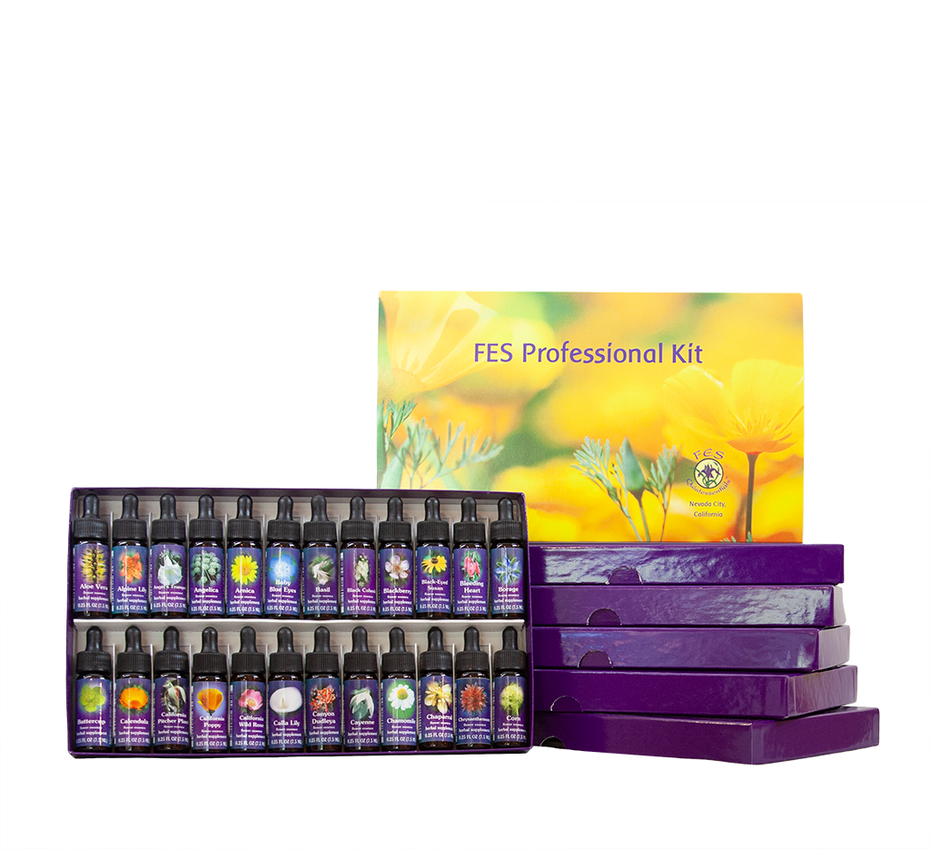 Professional Kit with Affirm a Flower Cards