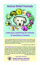 Animal Relief Formula Brochure