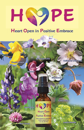 [HOPE-BR] HOPE brochure