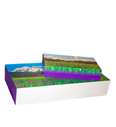 Range of Light Kit and Affirm a Flower cards