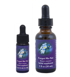 Forget-Me-Not