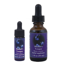 [HTO] Hound's Tongue