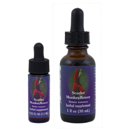 Scarlet Monkeyflower