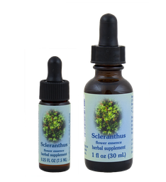 Scleranthus
