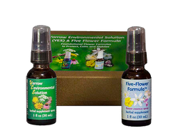 [FFF-YES] Foundational Gift Set